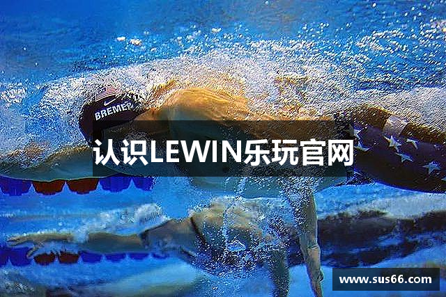 认识LEWIN乐玩官网